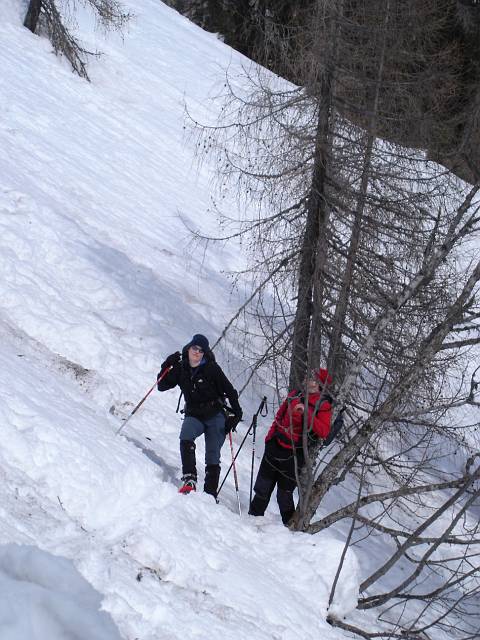 Visevnik 44.JPG - Foto: Botjan Vrviar